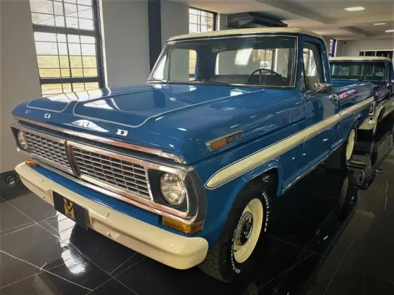 FORD F-100 1979