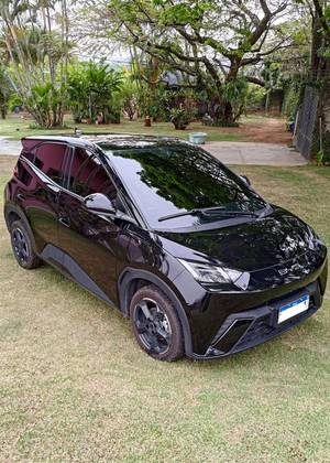 BYD DOLPHIN MINI 2025