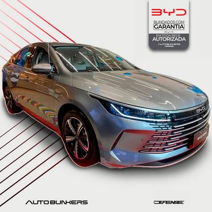 BYD KING 2025