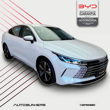 BYD KING 2025