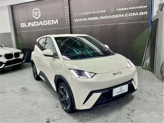 BYD DOLPHIN MINI 2025