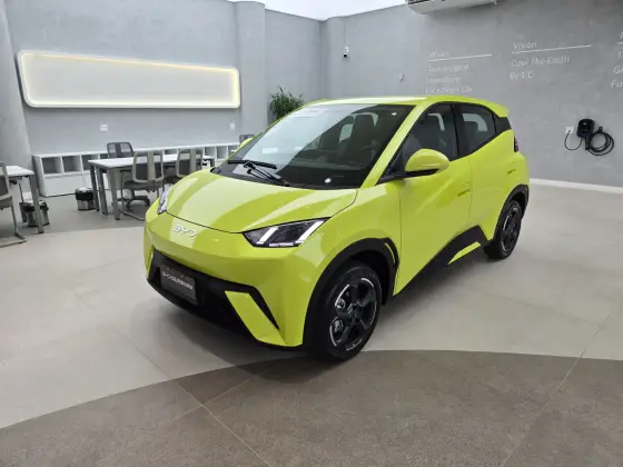 BYD DOLPHIN MINI 2025