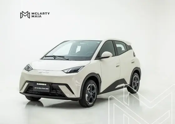 BYD DOLPHIN MINI 2025