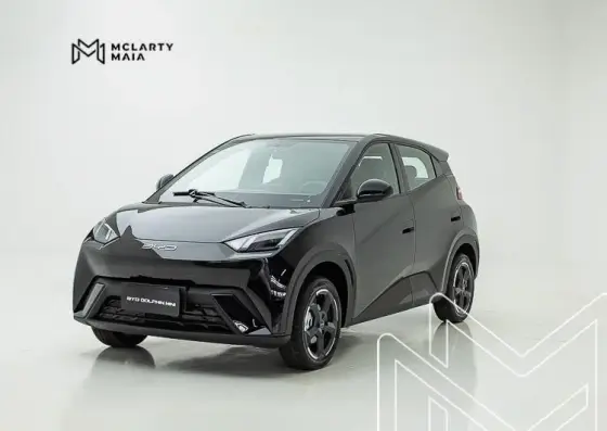BYD DOLPHIN MINI 2025