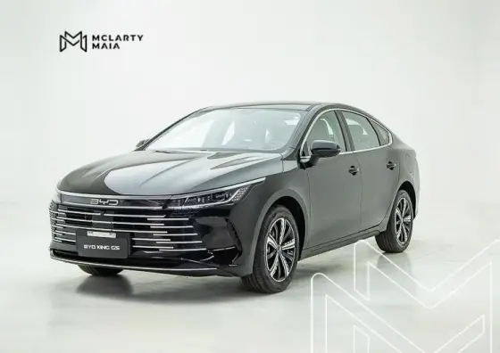 BYD KING 2025