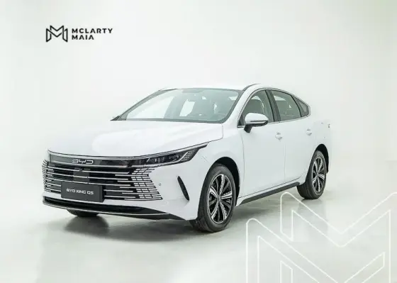 BYD KING 2025