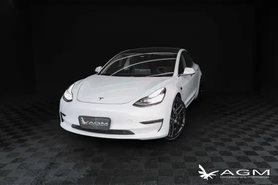 TESLA MODEL 3 2020