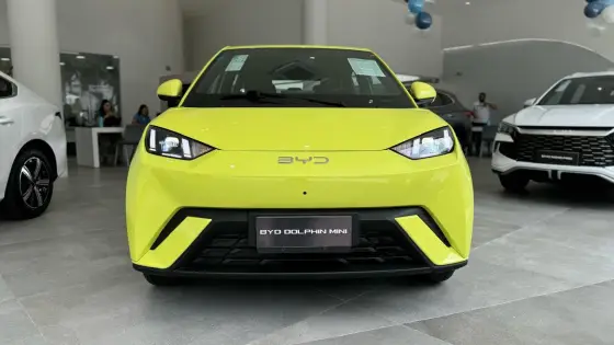 BYD DOLPHIN MINI 2025