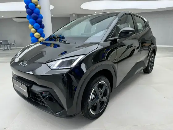 BYD DOLPHIN MINI 2025