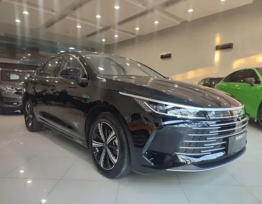 BYD KING 2025