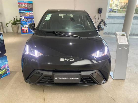BYD DOLPHIN MINI 2025