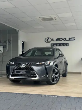 LEXUS UX 300h 2025