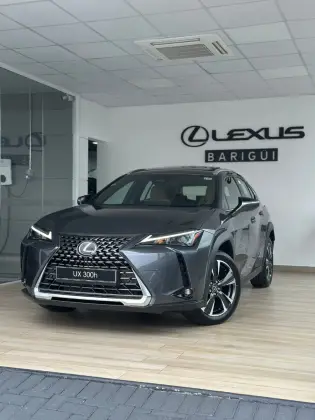 LEXUS UX 300h 2025