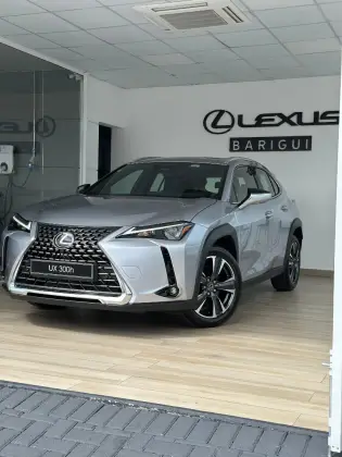 LEXUS UX 300h 2025