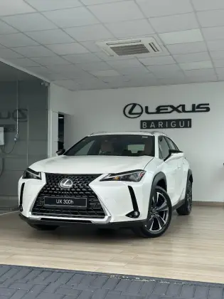 LEXUS UX 300h 2025