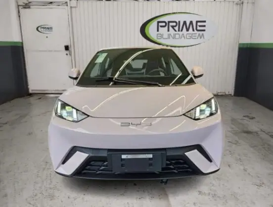 BYD DOLPHIN MINI 2025