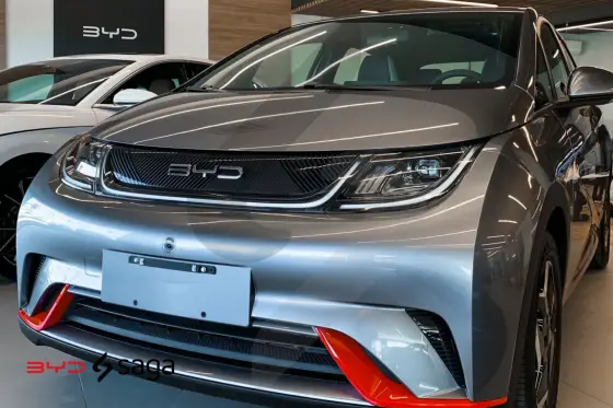 BYD DOLPHIN 2025