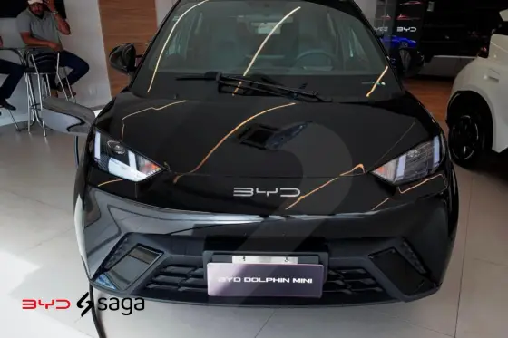 BYD DOLPHIN MINI 2025