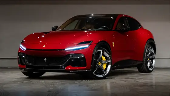 FERRARI PUROSANGUE 2024