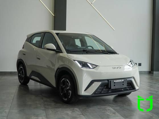 BYD DOLPHIN MINI 2025