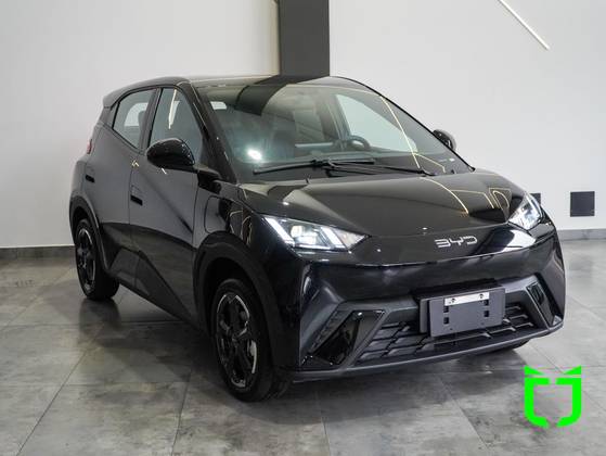 BYD DOLPHIN MINI 2025