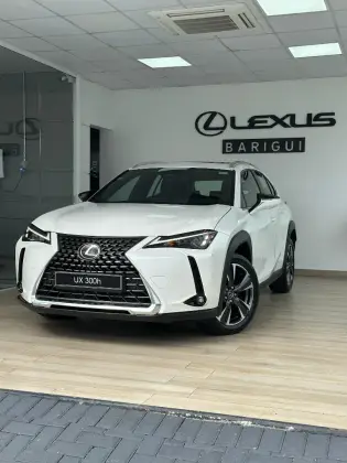 LEXUS UX 300h 2025