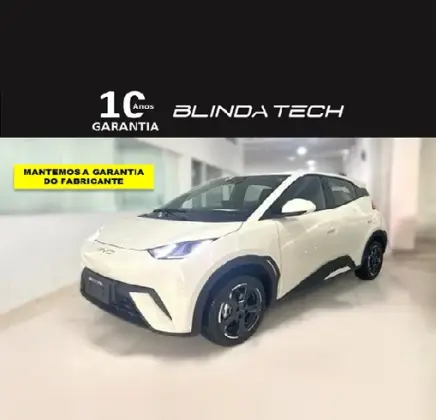 BYD DOLPHIN MINI 2025