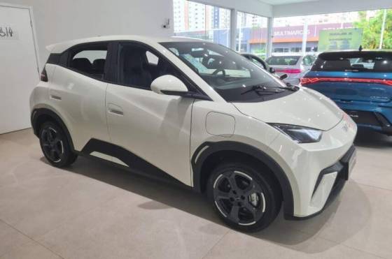 BYD DOLPHIN MINI 2025