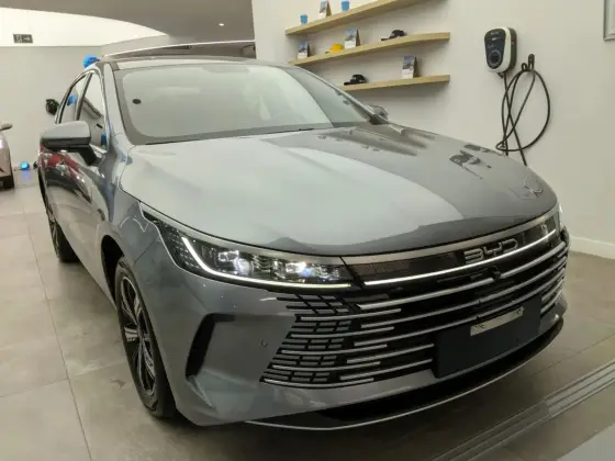 BYD KING 2025