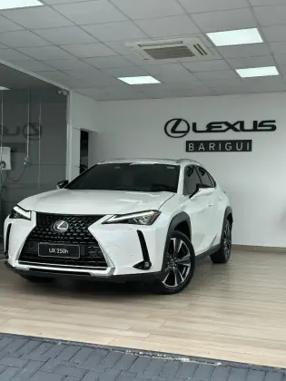 LEXUS UX 250h 2024