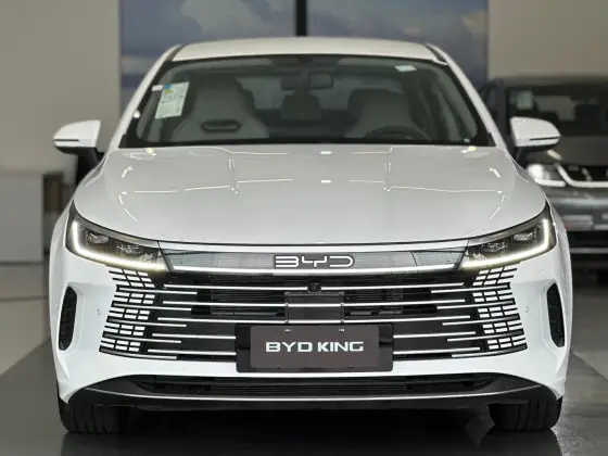 BYD KING 2025