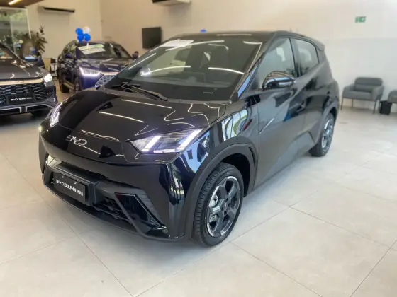 BYD DOLPHIN MINI 2025