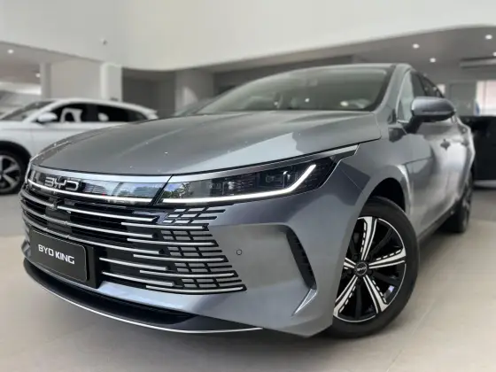 BYD KING 2025