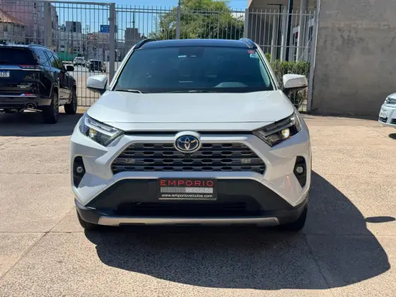 TOYOTA RAV4 2024