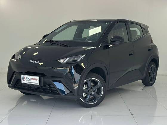 BYD DOLPHIN MINI 2025