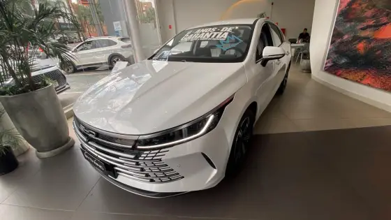 BYD KING 2025