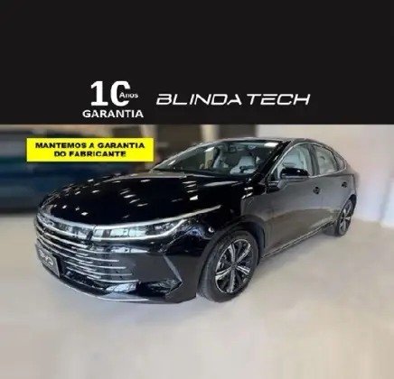 BYD KING 2025