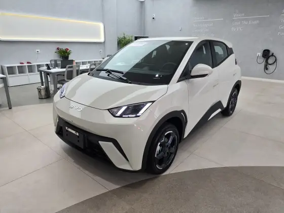 BYD DOLPHIN MINI 2025