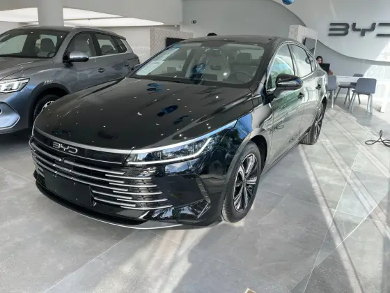 BYD KING 2025