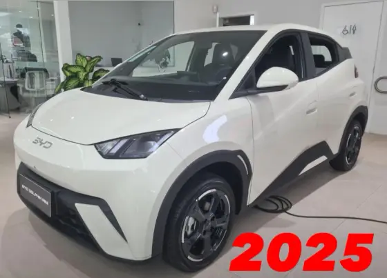 BYD DOLPHIN MINI 2025