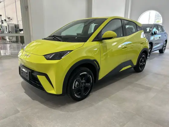 BYD DOLPHIN MINI 2025