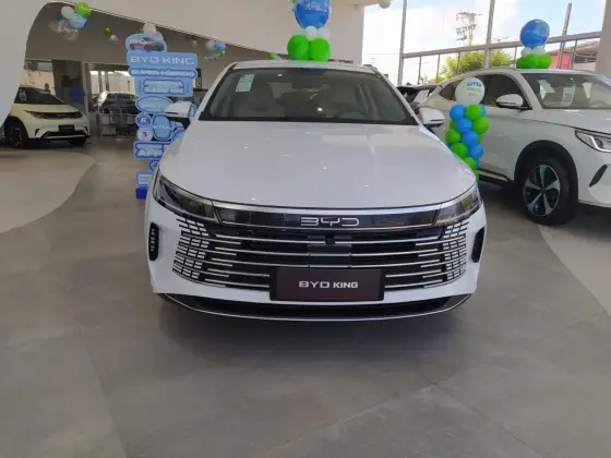BYD KING 2025