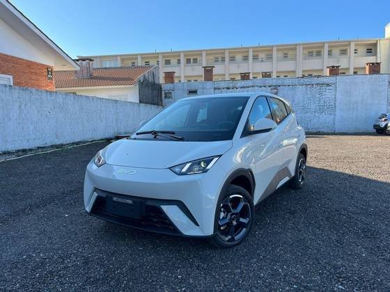 BYD DOLPHIN MINI 2025