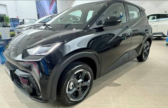 BYD DOLPHIN MINI 2025