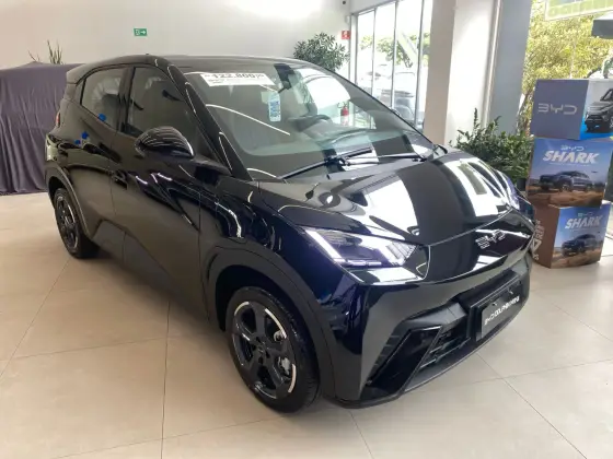 BYD DOLPHIN MINI 2025