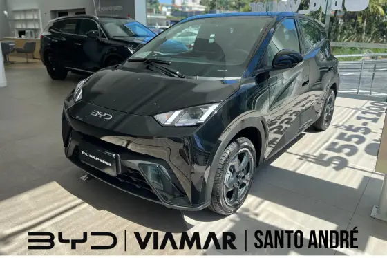 BYD DOLPHIN MINI 2025