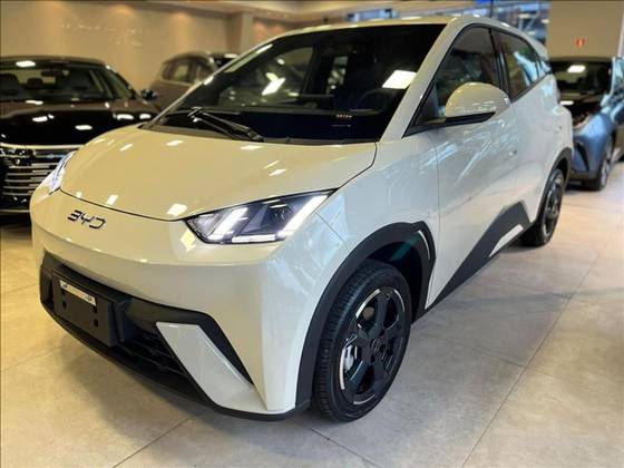 BYD DOLPHIN MINI 2025