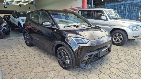 BYD DOLPHIN MINI 2025