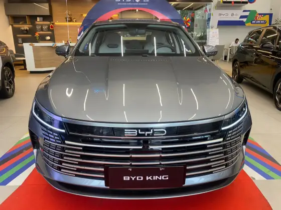 BYD KING 2025