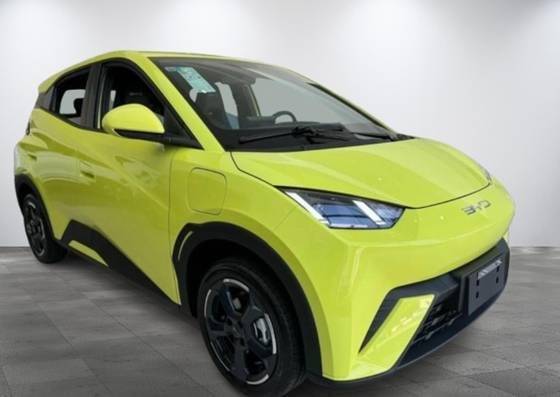 BYD DOLPHIN MINI 2025